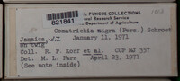 Image Associated With the Occurence